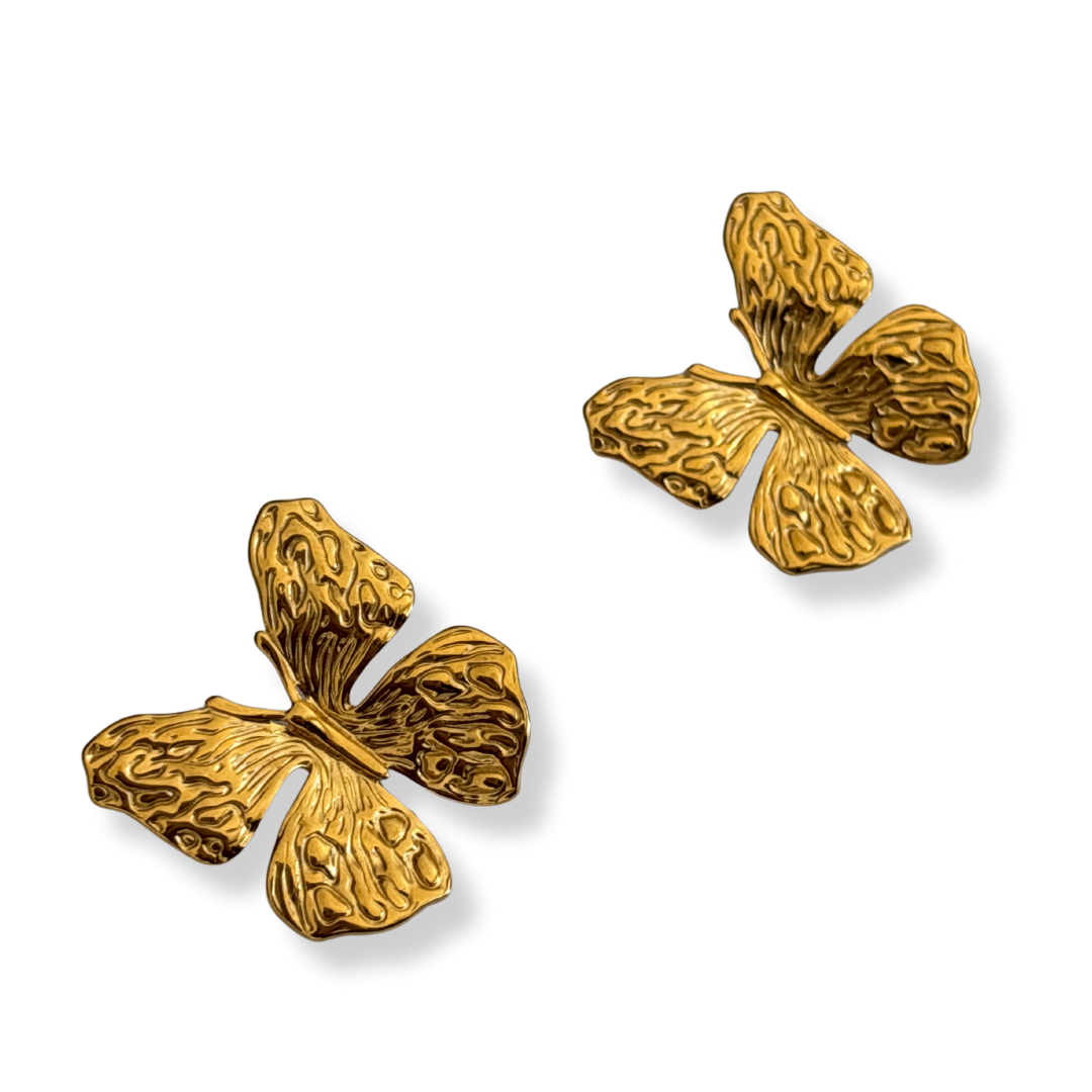 Aretes Mariposa 🦋